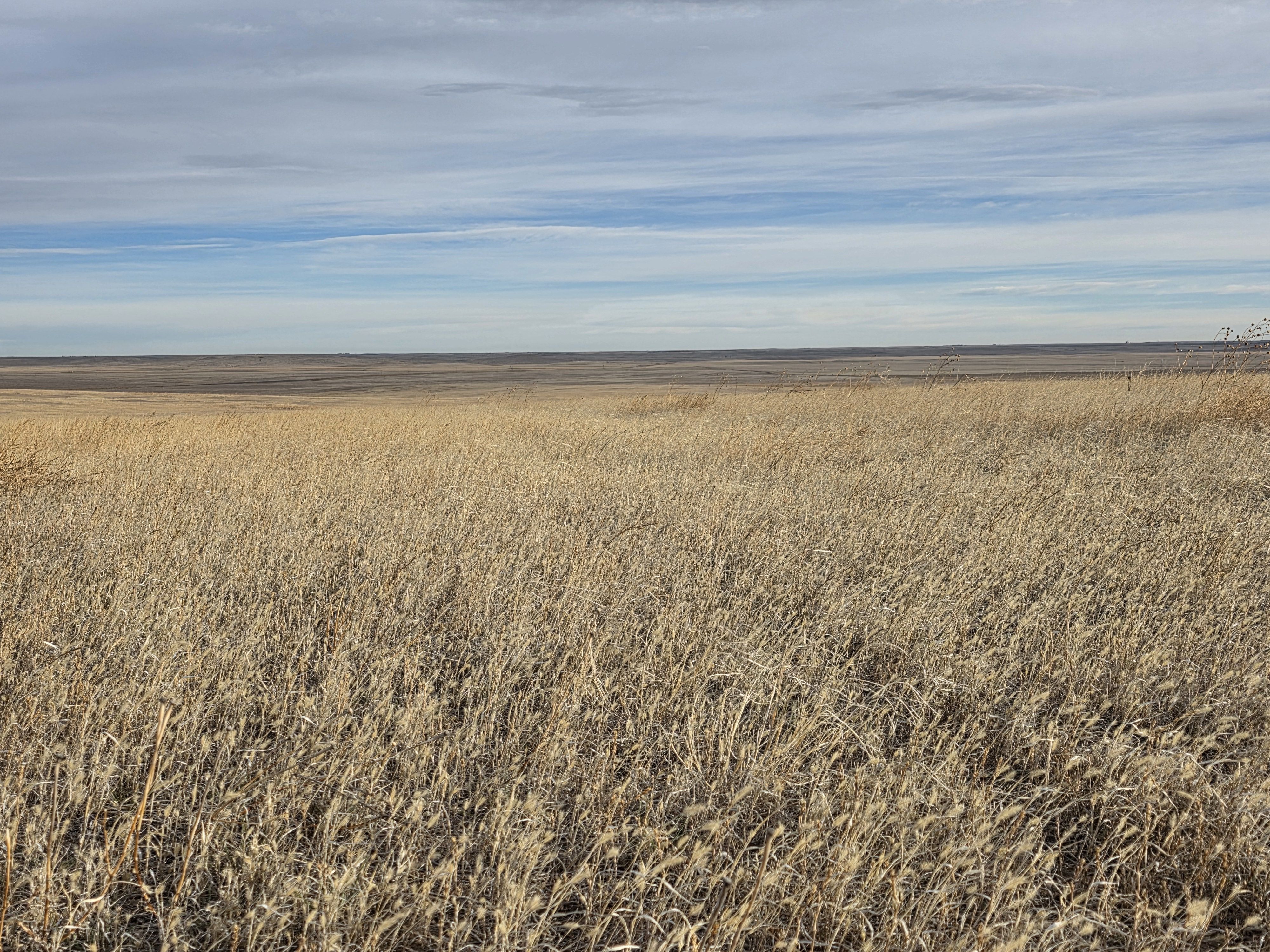 Listing Photo: Ground 8